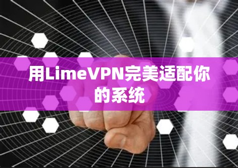 用LimeVPN完美适配你的系统