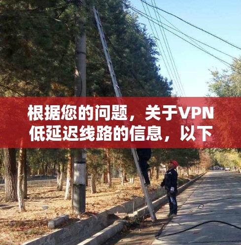 根据您的问题,关于VPN低延迟线路的信息,以下是详细的解释和建议