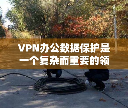 VPN办公数据保护是一个复杂而重要的领域,涉及多个层面的措施来确保数据的安全性。以下是对 VPN 网站办公数据保护的详细总结