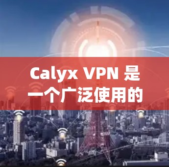 Calyx VPN 是一个广泛使用的VPN服务,支持多语言,提供安全、高效和便捷的网络连接。如果你正在考虑购买或安装安卓版本的Calyx VPN,以下是一些关键信息和建议