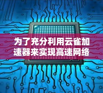 为了充分利用云雀加速器来实现高速网络连接，您可以按照以下步骤操作
